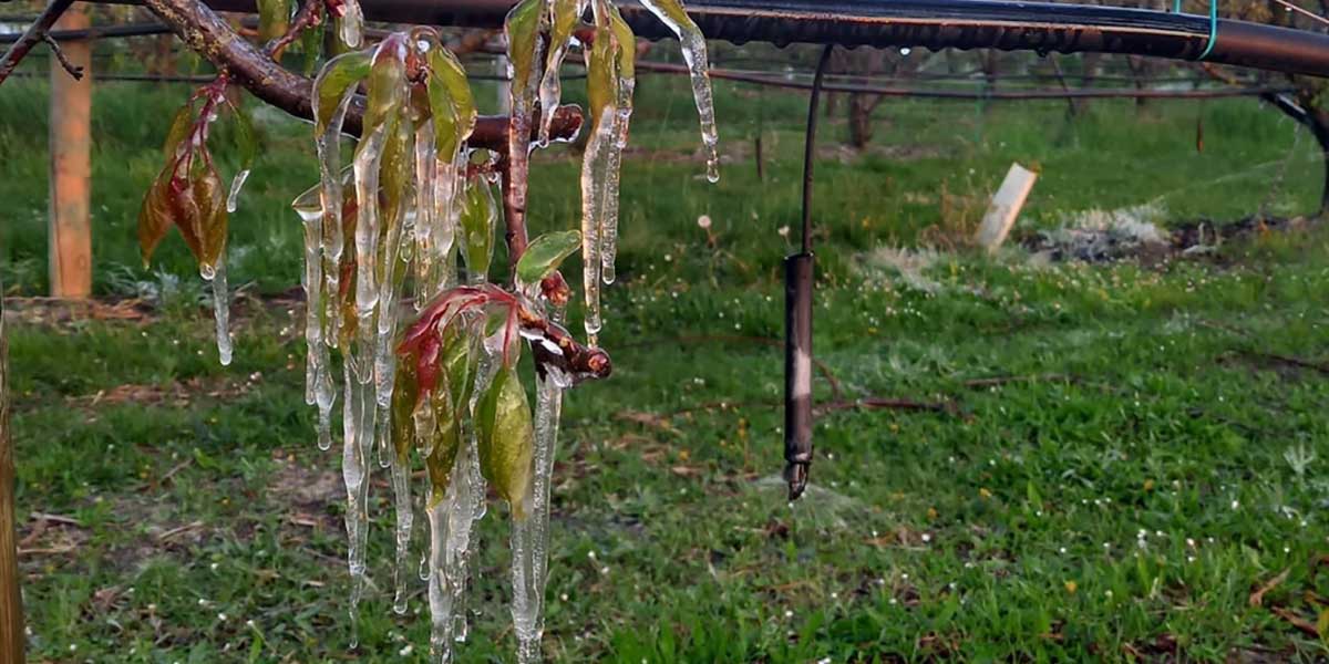 Si prospetta una settimana di allerta gelate